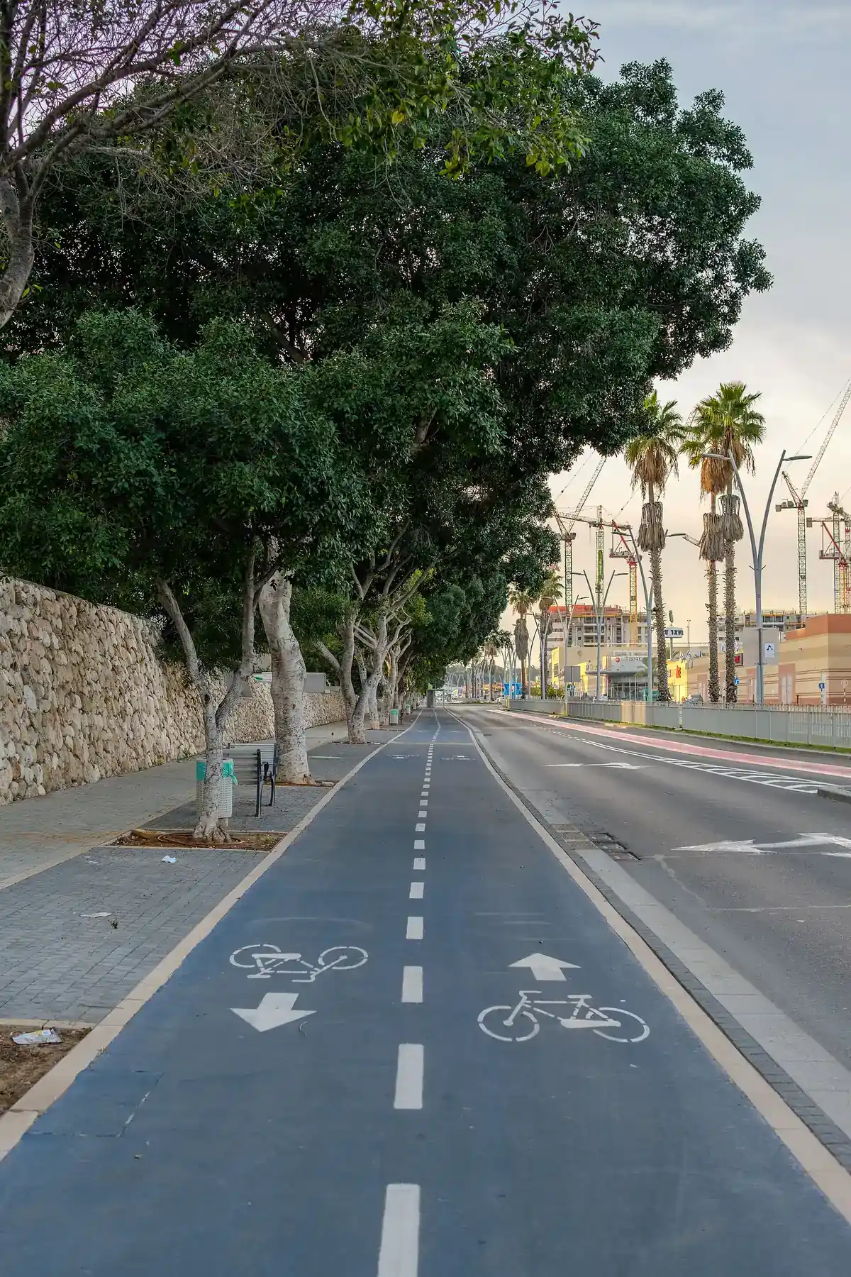 Bike lane on Jabotinsky Boulevard, Ashdod