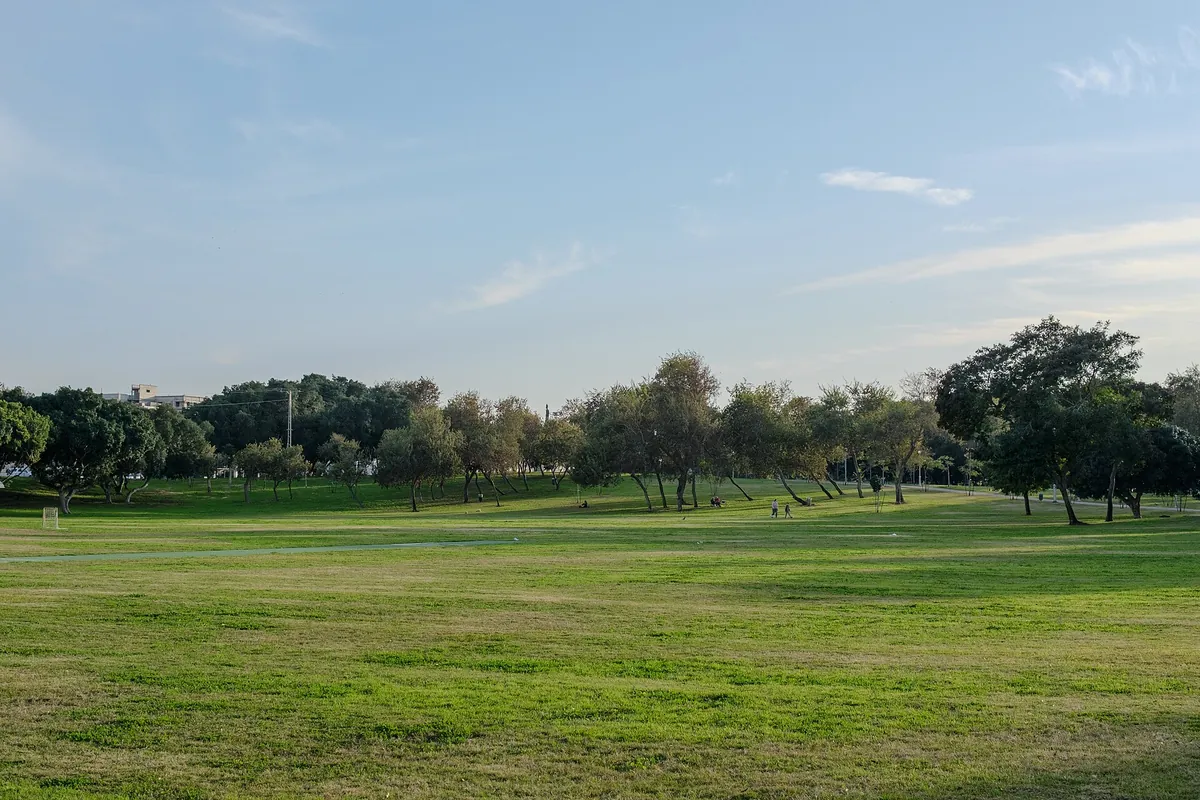 Ben-Gurion Park in Rova Bet, Ashdod, January 2024