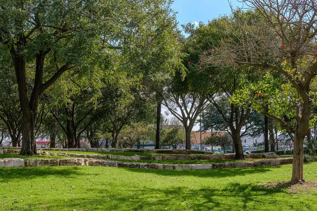 Roses Park in Rova Tet, Ashdod, February 2024