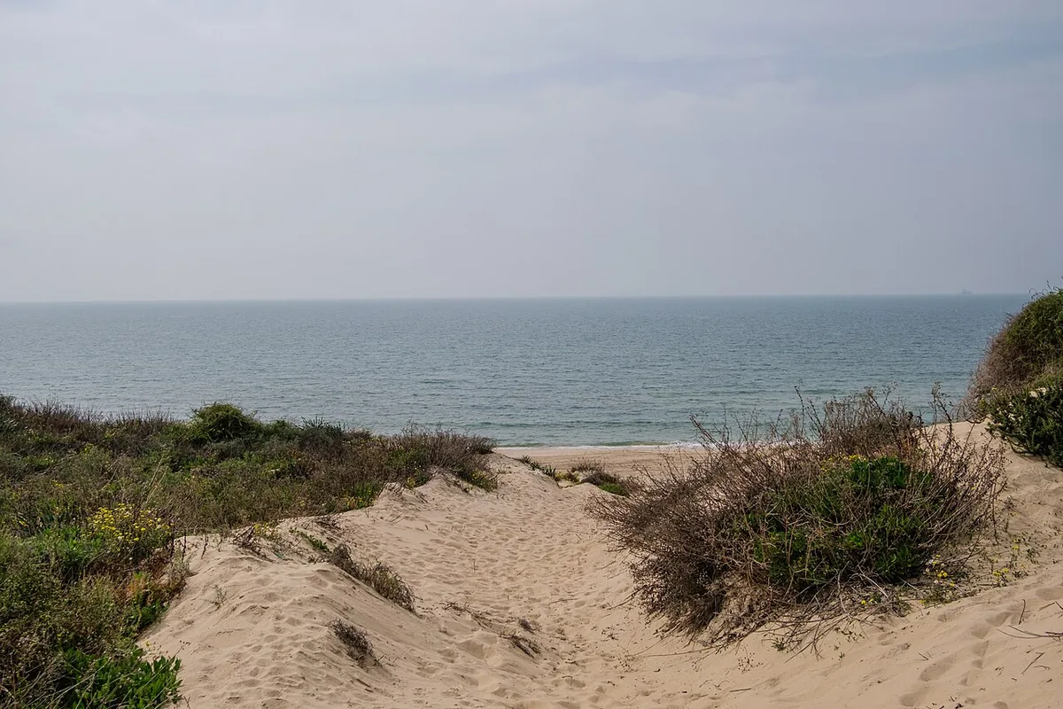 The Ashdod Sea Citadel ecological park, which runs from the Ashdod-Yam fortress to Be'er Sheva Beach in Rova Tet-Vav, March 2024